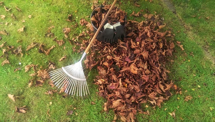 Do leaves make good compost? - Landera