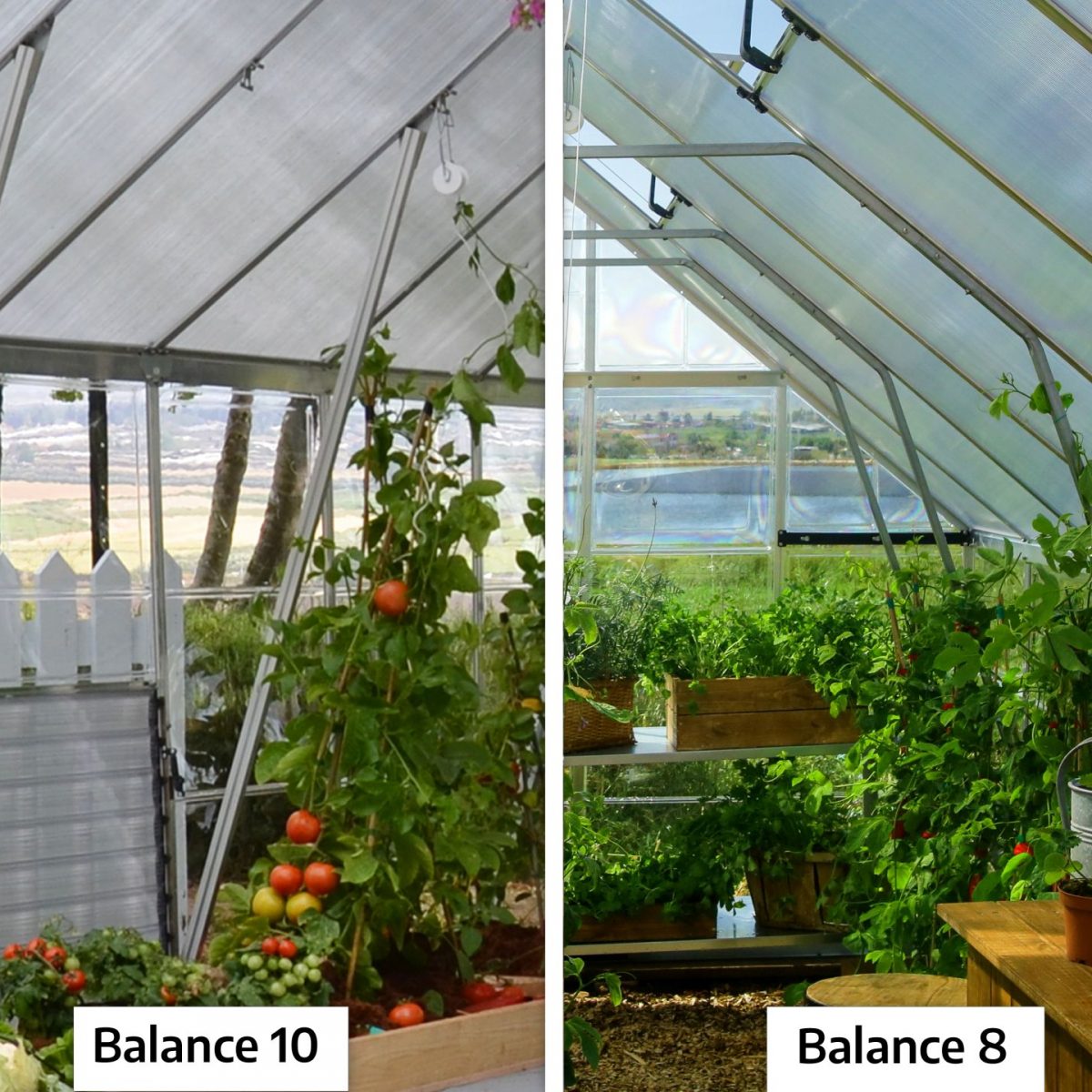 BALANCE 10'X20' GREENHOUSE 3mx6m