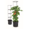 Tomato_Grower-Image2.png