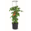 Tomato_Grower-Main-Image.png