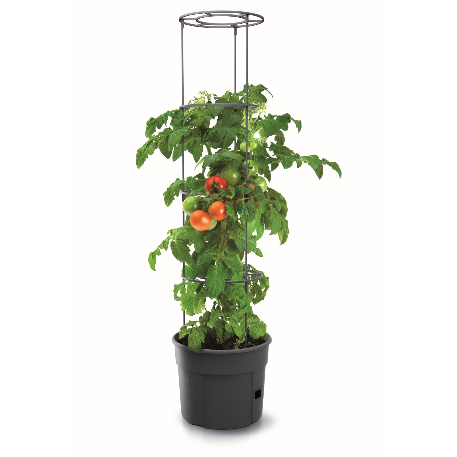 Tomato Grower Planter 400