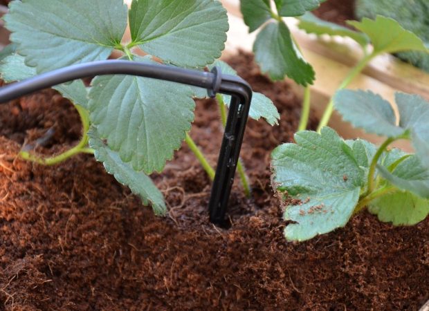 SILVERLINE GREENHOUSE DRIP IRRIGATION KIT